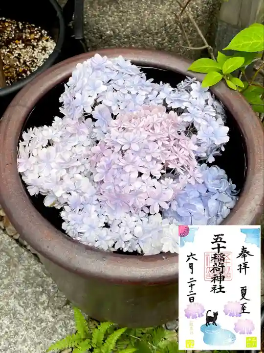 五十稲荷神社(栄寿稲荷神社)(東京都)