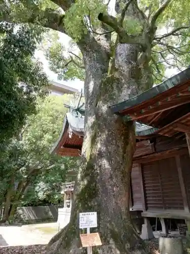 堀江神社の建物その他