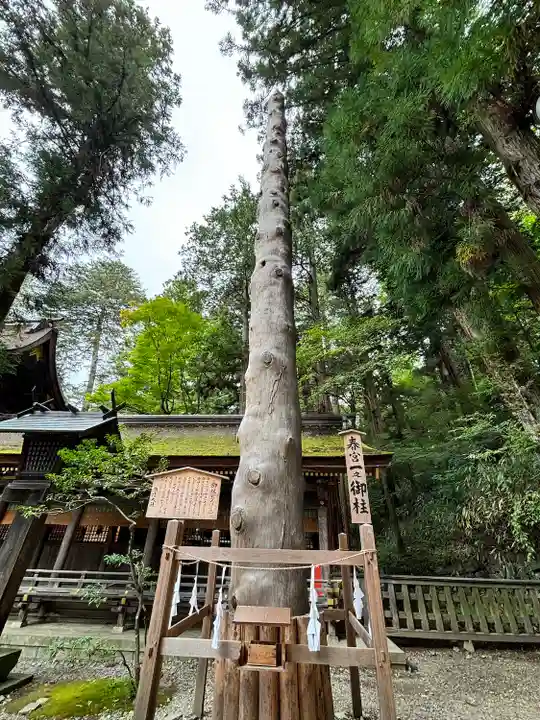 諏訪大社下社春宮(長野県)