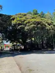 諏訪神社の建物その他