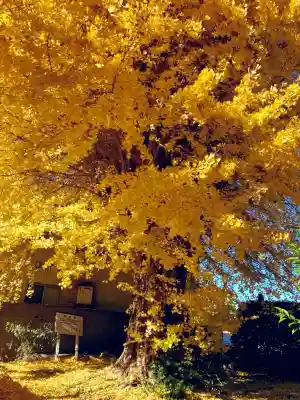 別雷皇太神(茨城県)