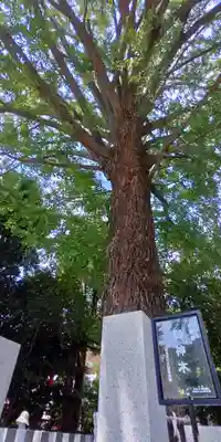 田無神社(東京都)