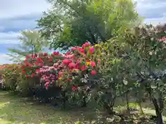 赤城大教会赤城寺の自然