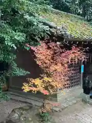 宇治上神社の建物その他