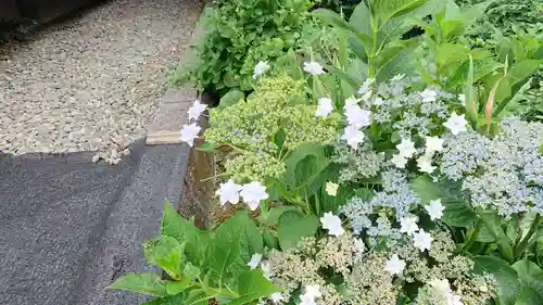 真言宗神道派大本山 宝珠院の自然