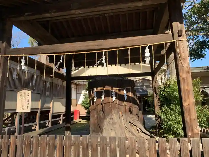 須賀神社の自然