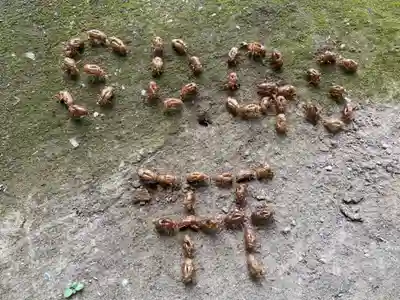 比々多神社(神奈川県)