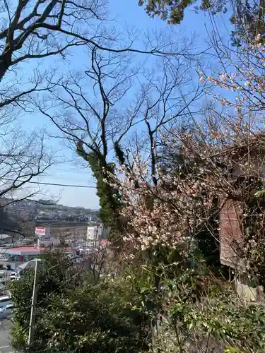 思金神社の景色