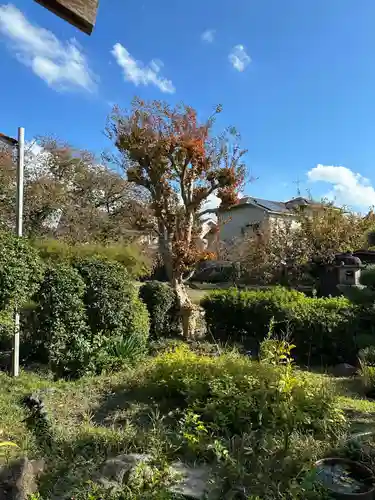 元興寺塔跡(奈良県)