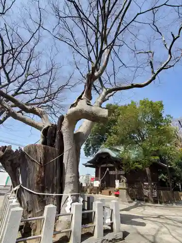 阿邪訶根神社(福島県)