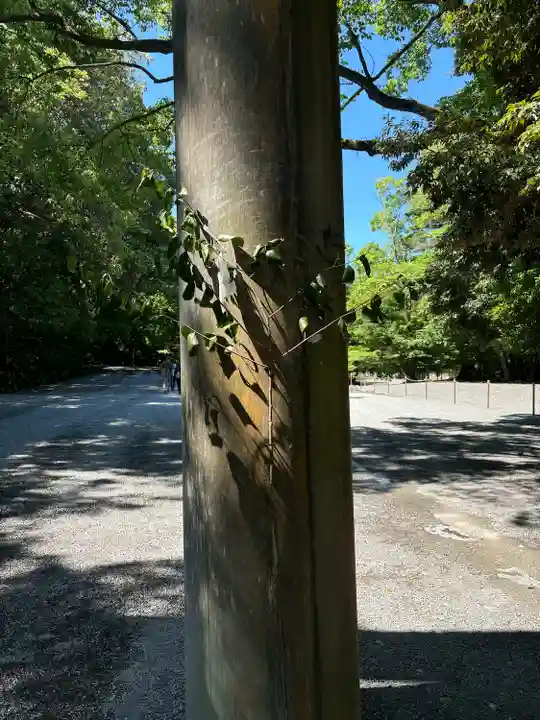 伊勢神宮内宮(皇大神宮)(三重県)