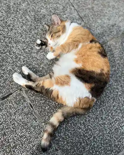 秩父札所十三番 慈眼寺(埼玉県)