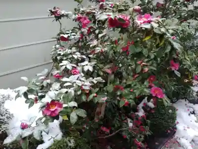 燈籠堂 浄教寺(京都府)