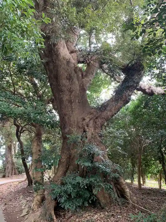 天神社(千葉県)
