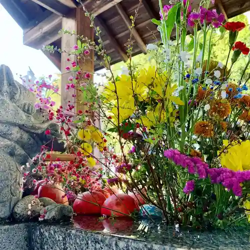 滑川神社 - 仕事と子どもの守り神の手水