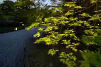 東寺(教王護国寺)(京都府)