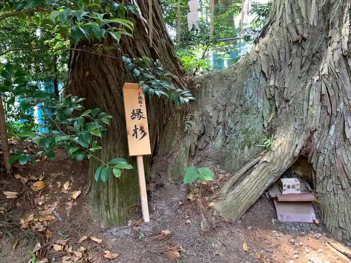 坪沼八幡神社(宮城県)