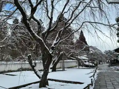 三宝院(三宝院門跡)(京都府)