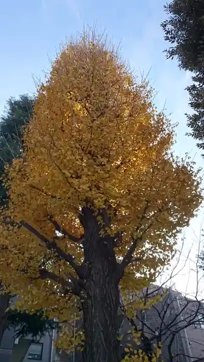蛇窪神社の自然