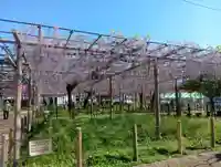 曼陀羅寺(愛知県)