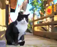 今市報徳二宮神社(栃木県)