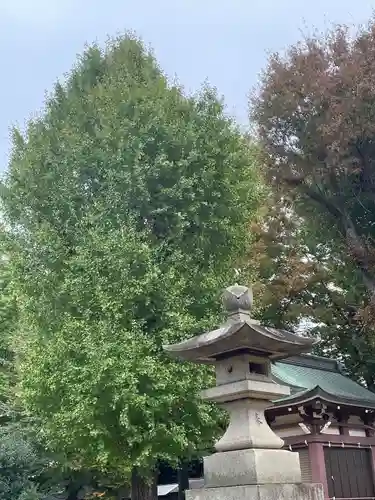 諏訪神社(東京都)