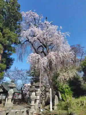 神炊館神社 ⁂奥州須賀川総鎮守⁂(福島県)