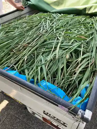 總社 和田八幡宮(福井県)