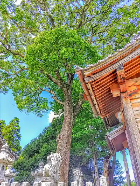 神明社(片原一色町如来)の自然