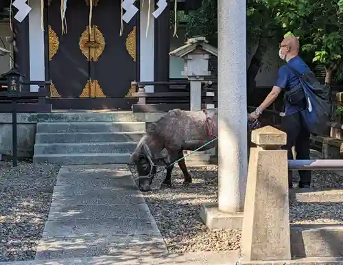 神田神社（神田明神）(東京都)