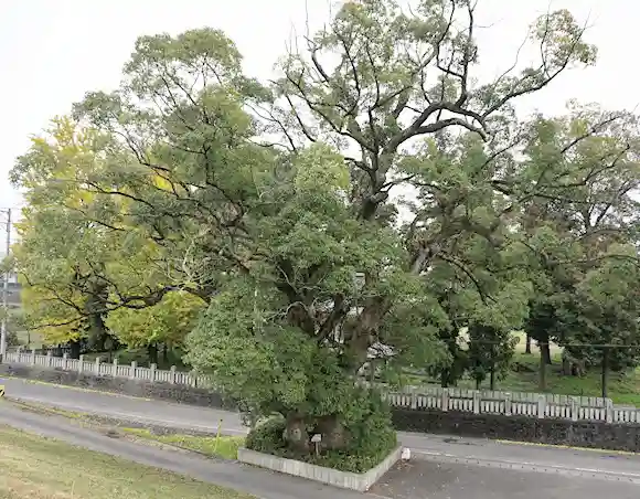 勢力神社(徳島県)