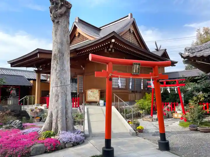 於菊稲荷神社(群馬県)
