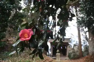 鹿島大神宮の末社・摂社
