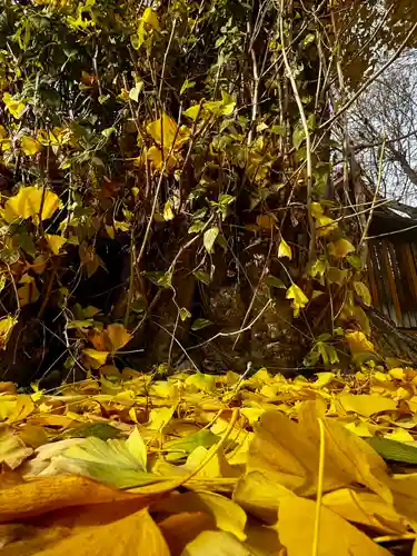 宇賀神社(京都府)
