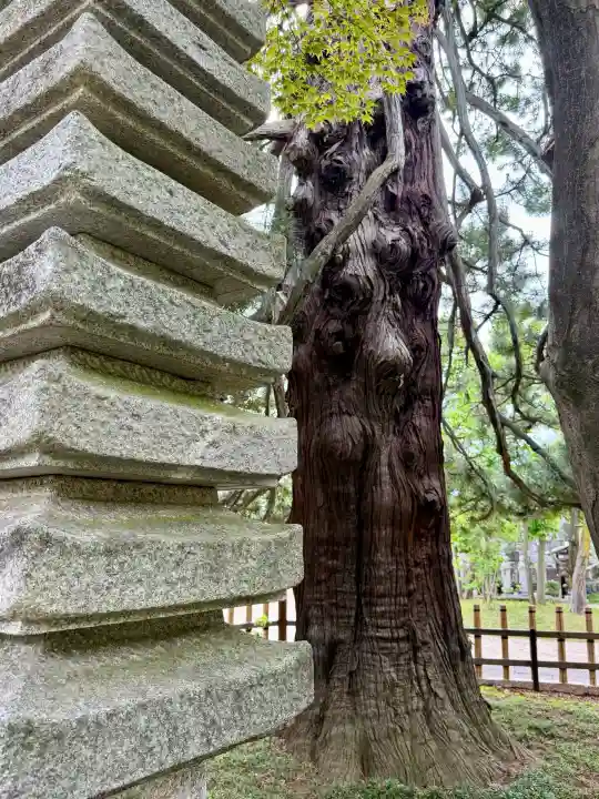 香福寺(神奈川県)