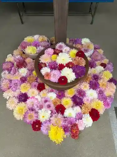 岡寺（龍蓋寺）の{uncategorized: "未分類", other: "その他", undefined: "問題あり", building: "その他建物", grave: "お墓", sacred_gate: "鳥居", guardian: "狛犬", statue: "像", buddha: "仏像", history: "歴史", nature: "自然", garden: "庭園", animal: "動物", pagoda: "塔", temizu: "手水舎", mountain_gate: "山門・神門", sanctuary: "本殿・本堂", subordinate: "末社・摂社", art: "芸術", scenery: "景色", jizo: "地蔵", ema: "絵馬", goshuin: "御朱印", omikuji: "おみくじ", items: "授与品その他", amulet: "お守り", goshuincho: "御朱印帳", eats: "食事", festival: "お祭り", votive_dance: "神楽", shichigosan: "七五三参", wedding: "結婚式", experience: "体験その他", initially: "初詣", around: "周辺", anti_infection: "感染症対策"}