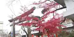 建勲神社の鳥居