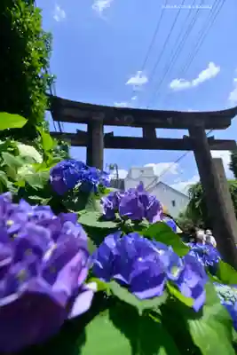 白山神社(東京都)