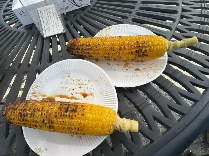 五十君神社(新潟県)