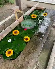 犀川神社の手水