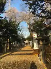 新琴似神社(北海道)