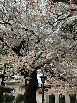 靖國神社(東京都)