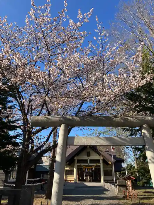 江南神社の鳥居