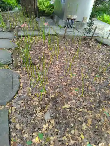 横浜　西方寺(神奈川県)