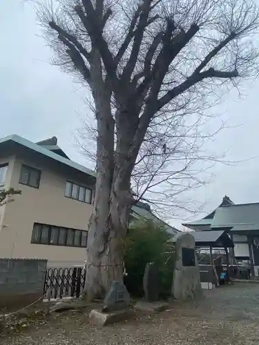 三ツ石神社の自然