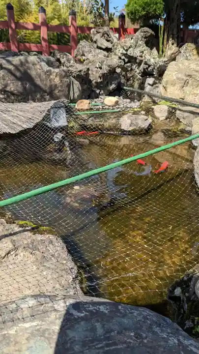 埴生神社の庭園