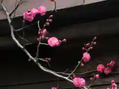 牛天神北野神社の自然