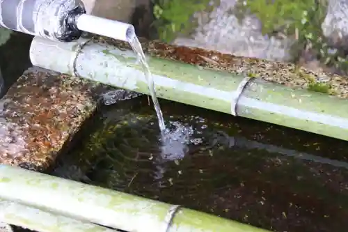 諏訪神社の手水