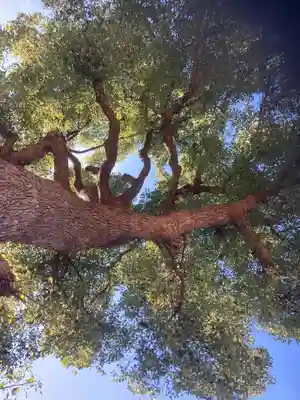 杉山大神(神奈川県)
