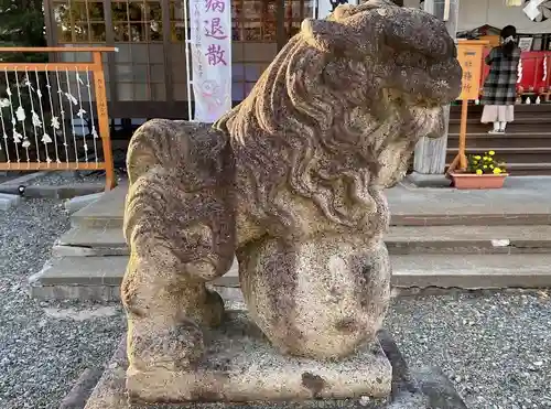 伊達神社の狛犬